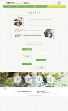 返林散養(yǎng)雞官網(wǎng)設(shè)計(jì)效果圖展示