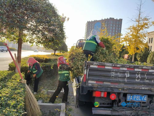甘州區園林綠化中心秋季修剪與生活垃圾管理并行，提升城市環境品質